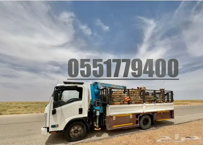 دنا ونش هيدروليك 0