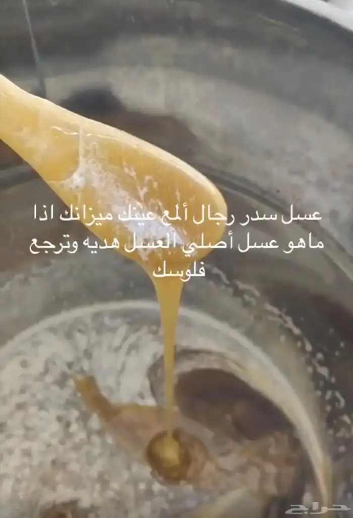 عسل سدر جبلي مشروط 0