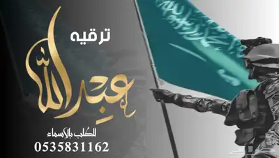 منشد شيلات شاعر جزل 0