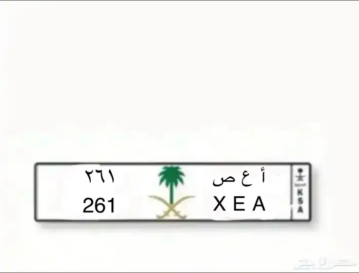 لوحة لوحات مميزه 1