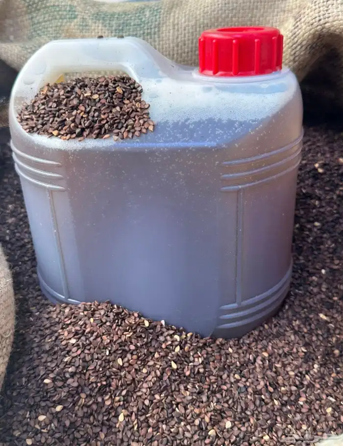 زيت سمسم بلدي جنوبي وزيت قطران صومل بدون اي اضافات 6