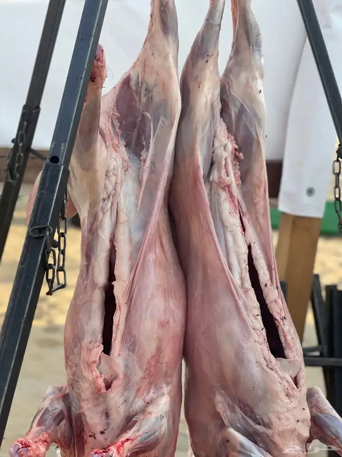 شيف مشويات خارجيه مشاوي خارجيه شواء 9