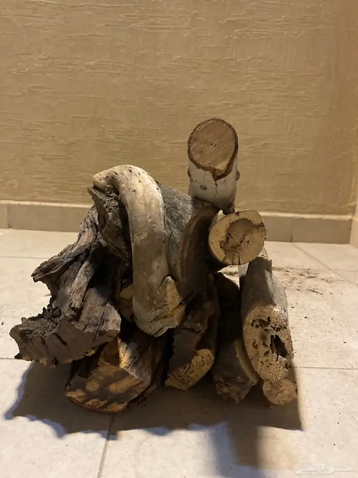 حطب افريقي قرض مستورد نظامي 10 كيلو اسعار تفافسية 5