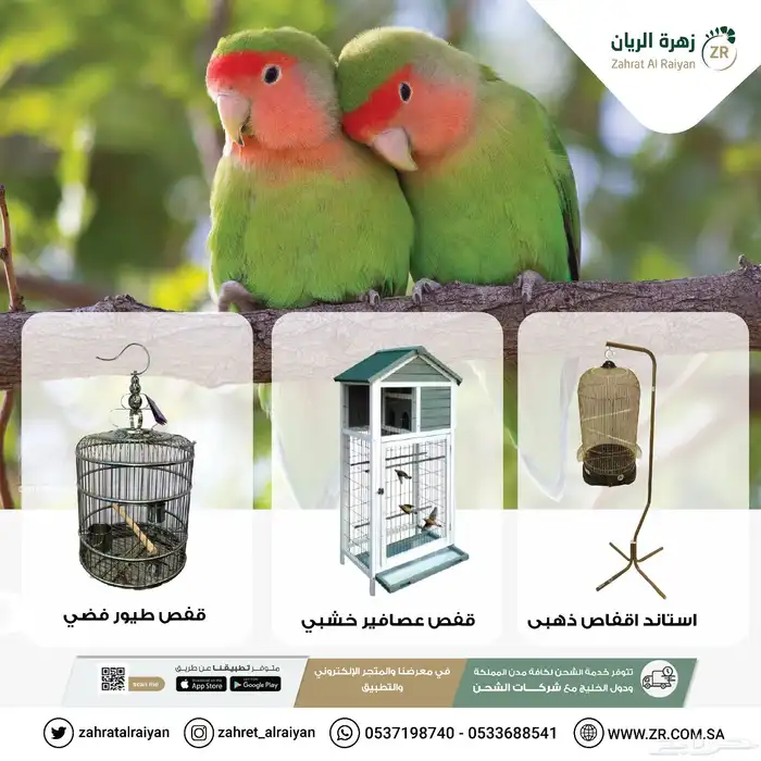 اقفاص عصافير وحيوانات ديكورية 0
