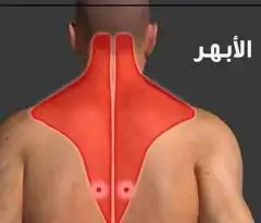 مساج للاسترخاء 1