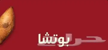 فطور تركي أصيل و وجبات إعاشة 1