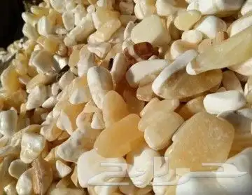 خدمات الزراعه والنخيل تقريبا النخيل وتركيب شبكه الري 2