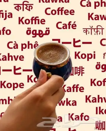 فطور تركي أصيل و وجبات إعاشة 12