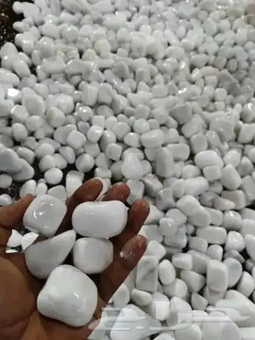 خدمات الزراعه والنخيل تقريبا النخيل وتركيب شبكه الري 0