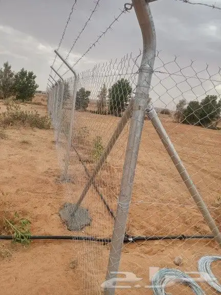 شغل الشبوك 5