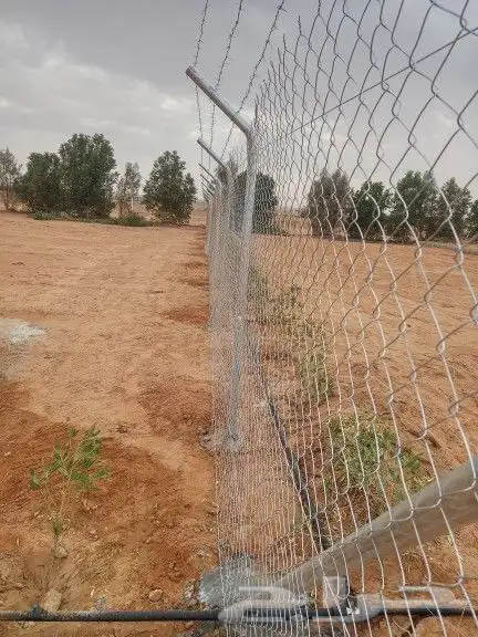 شغل الشبوك 3