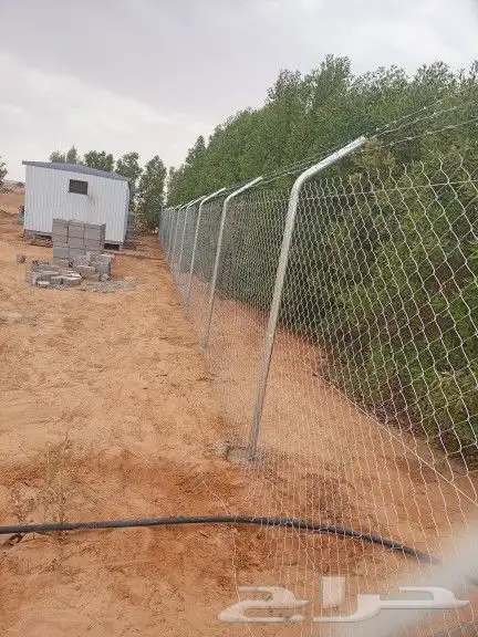 شغل الشبوك 0