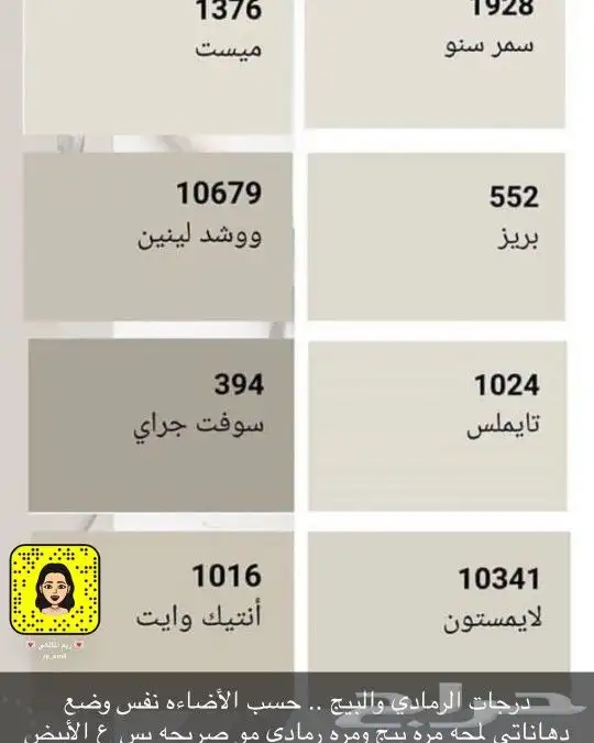 اصباغ وديكورات وترميم 3