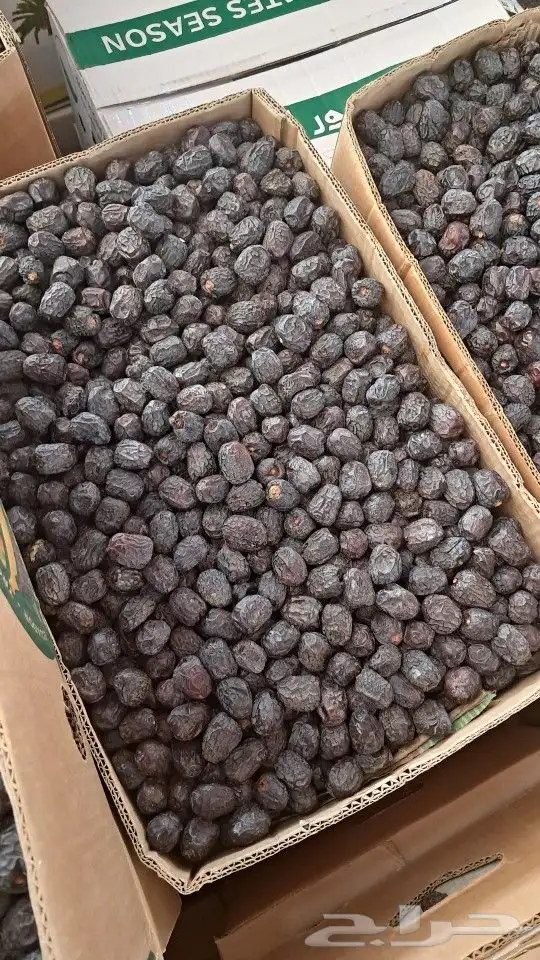 تمر عجوة حبة وسط وطيب ب 11 ريال 0