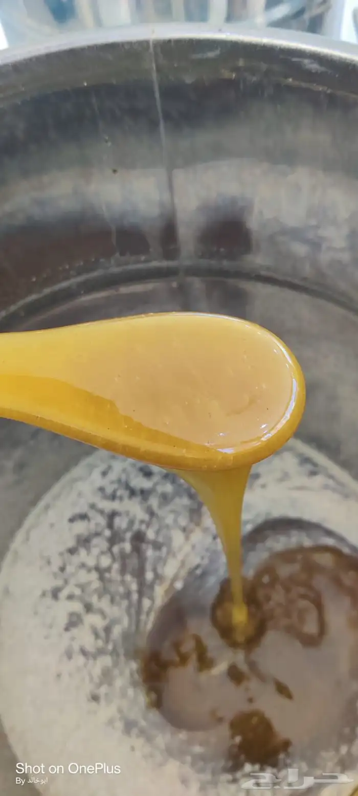 عسل سدر جبلي مشروط 2