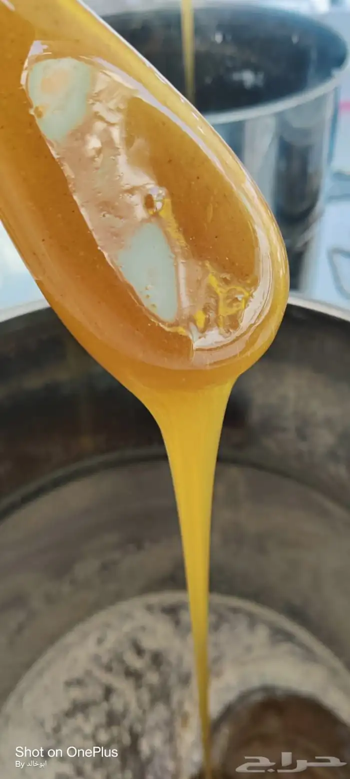 عسل سدر جبلي مشروط 1