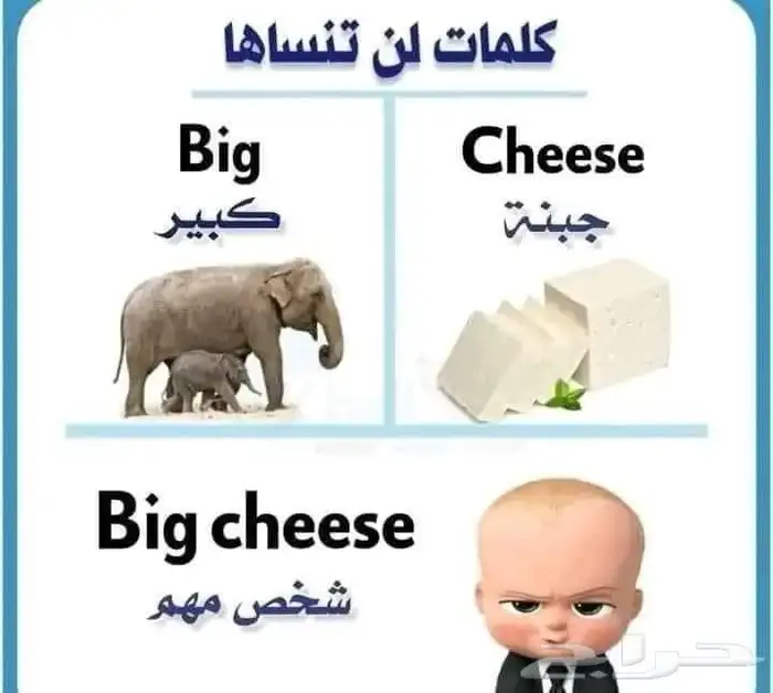 معلمة انجليش ومتابعة 3