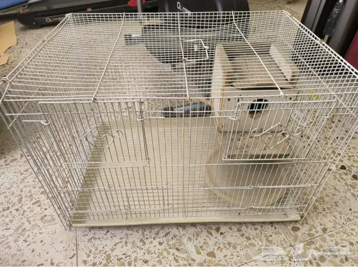 قفص عصافير 0