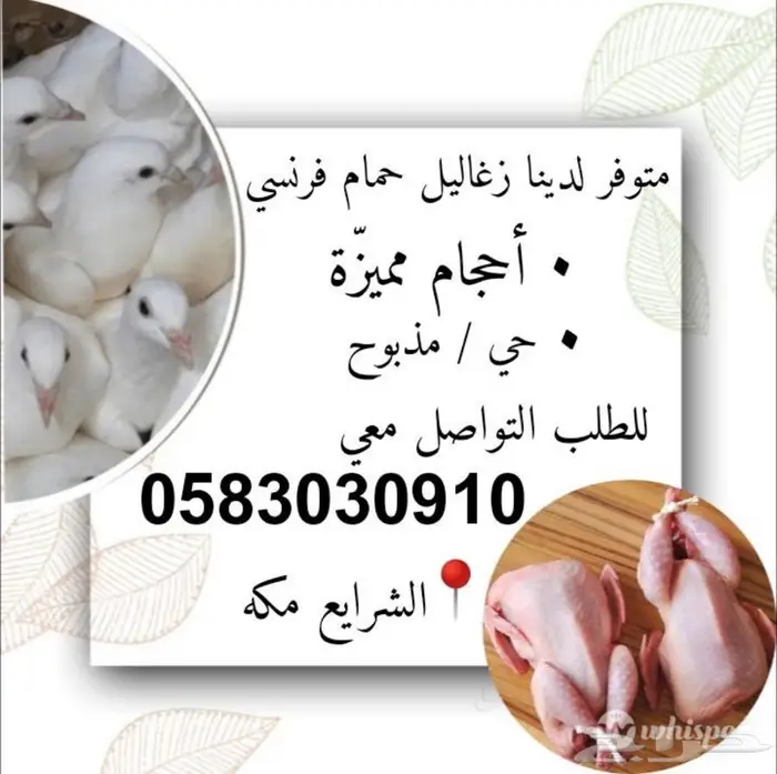 حمام فرنسي 0