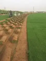 تنسيق حدائق بالرياض 0