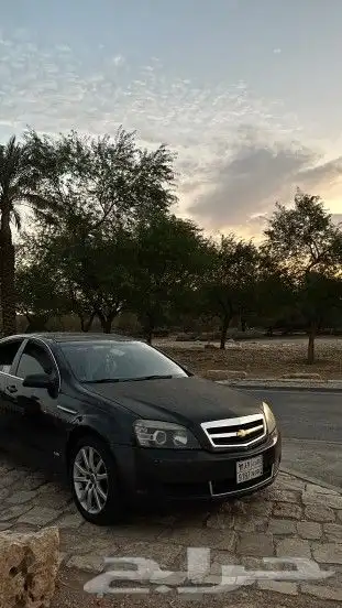 كابرس 2010 1
