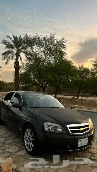 كابرس 2010 3