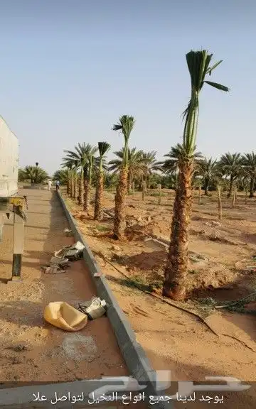 تنفيذ جميع أعمال التراث الشعبي 12