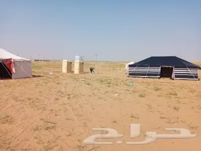 تجهيز مخيمات بيوت شعر حمامات غرف خشب كراسي مغاسل خيام 2