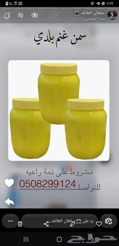 سمن غنم منجور 0