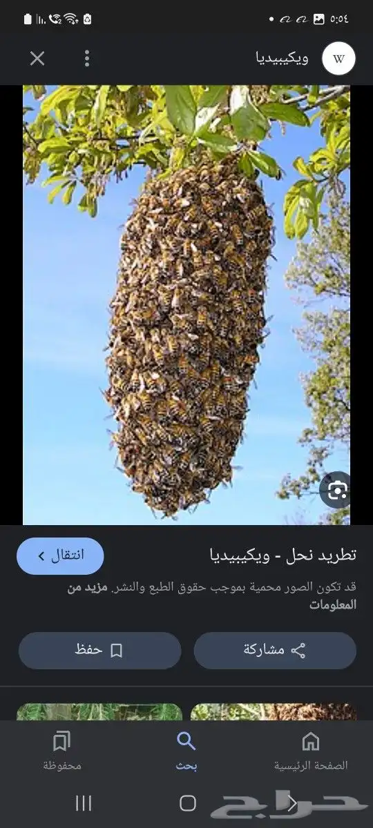 مخطط الملك فهد 0