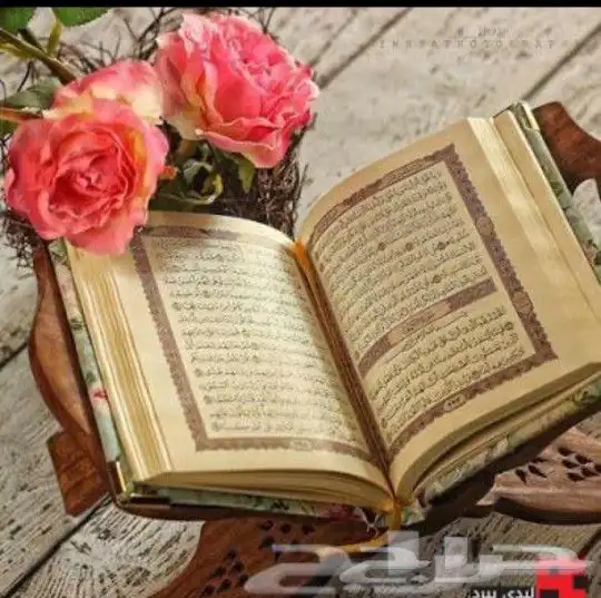 مدرسه قرآن كريم 0