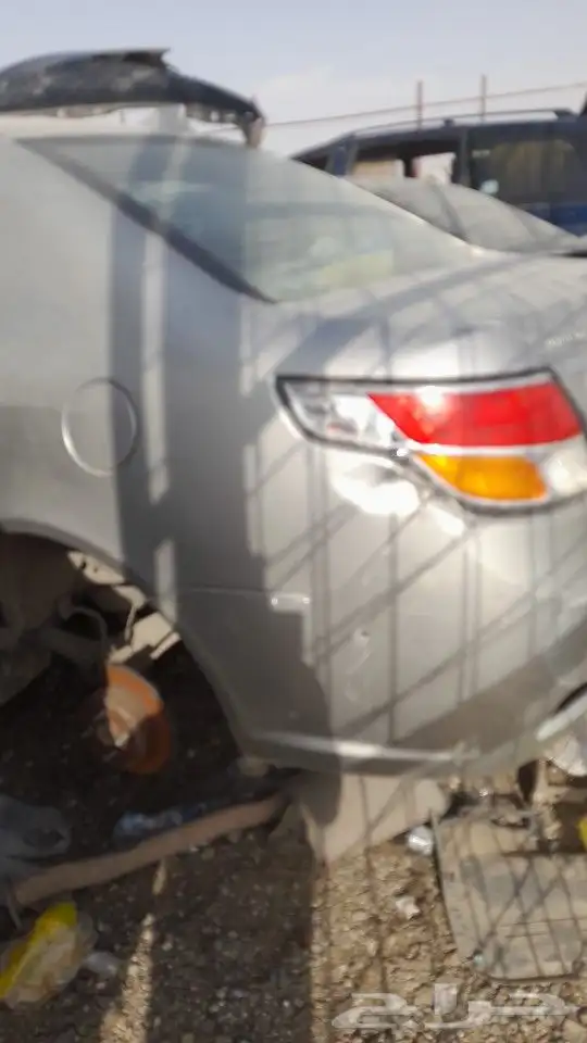 جيلى باندا وجيلى7 2015 6