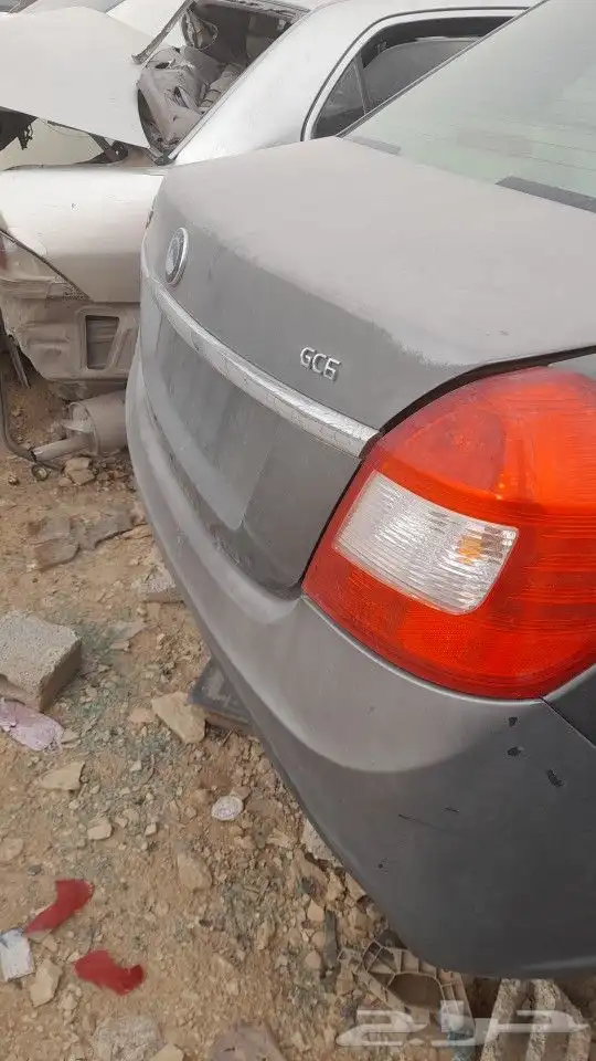 جيلى باندا وجيلى7 2015 14