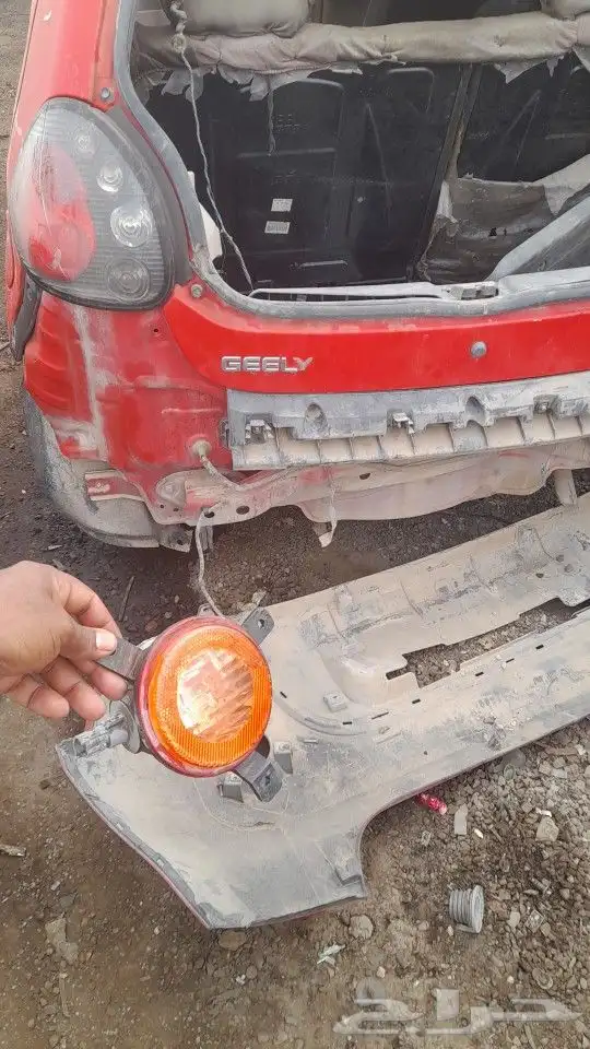 جيلى باندا وجيلى7 2015 7