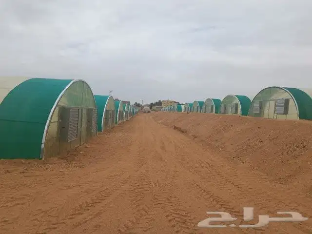 فك وتركيب البيوت المحمية 5