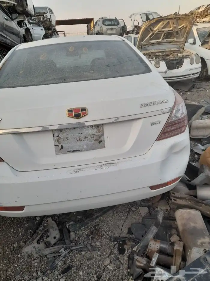 جيلى باندا وجيلى7 2015 4