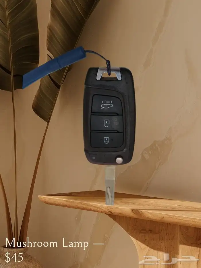 مفتاح ريموت سيارة 0