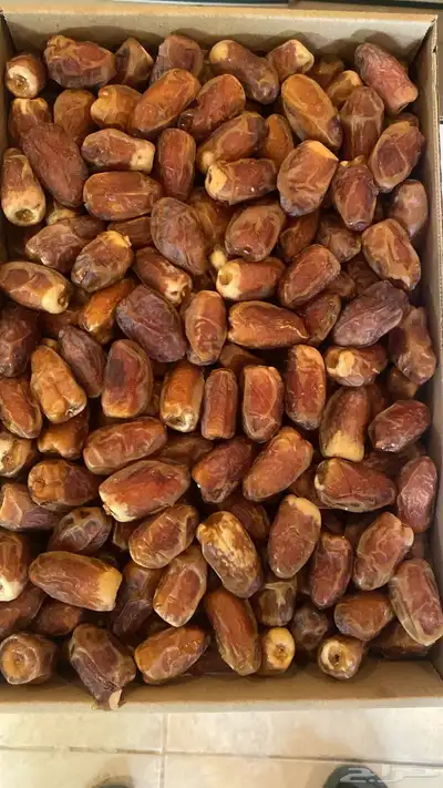 تمور للبيع. صقعى. 5