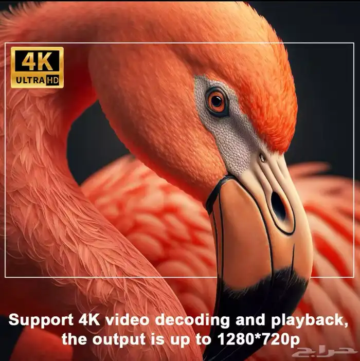 بروجتر 4k جديد 1
