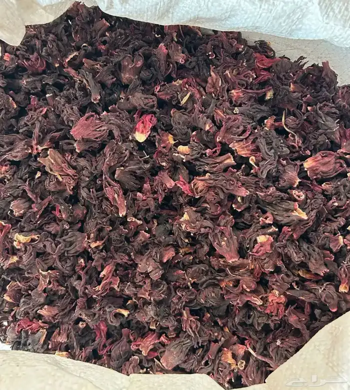 كركدية نيجيري درجة أولى عالشرط 0