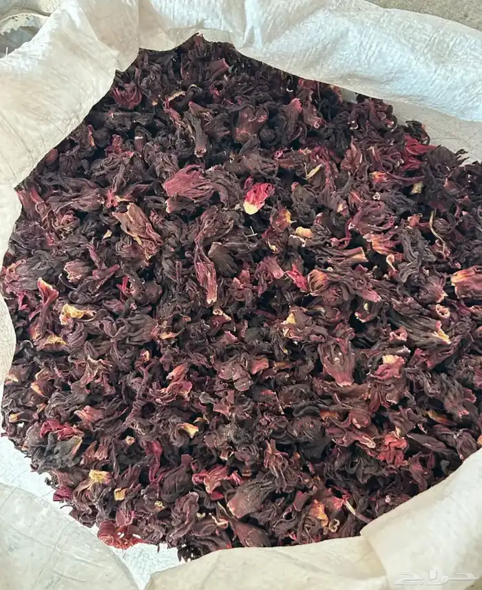 كركدية نيجيري درجة أولى عالشرط 1