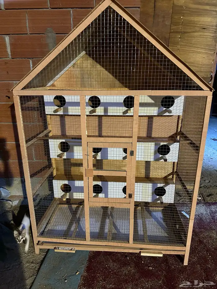 قفص محاكر 63