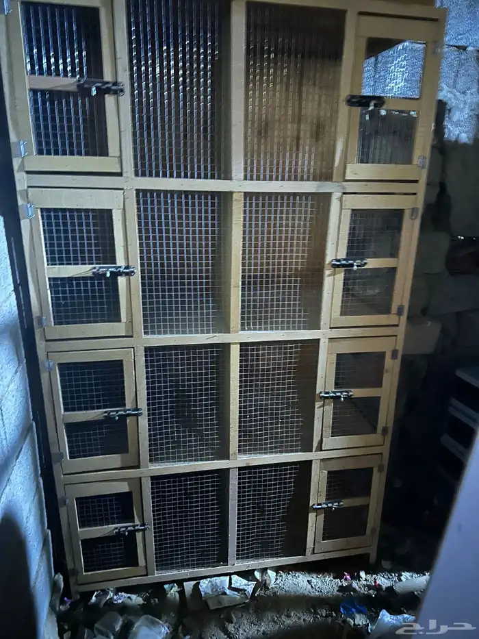 قفص محاكر 62