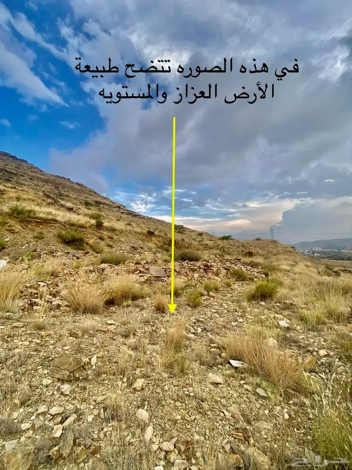 أرض مطله للبيع بشامية آل عاصم بأبها 5