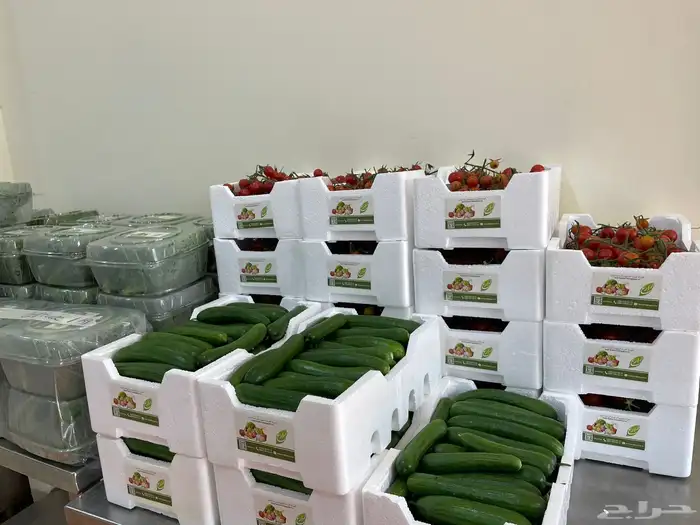 زراعه مائيه 5
