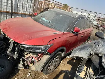 دونج فينج 1