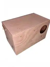اكل كروان فيشر روز كوكتيل البينو هولندي 3