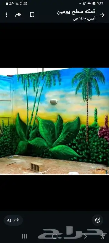 رسام على الجدران أجعل من سطح منزلك حديقة 4