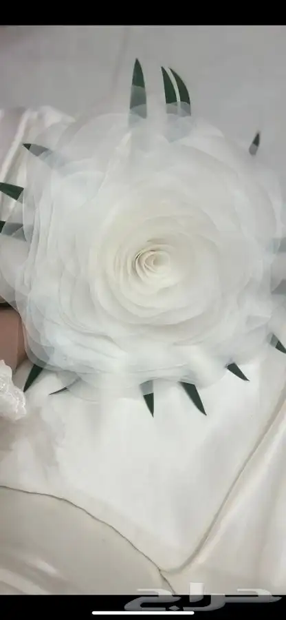 مسكه عروس نظيفه وجديده استخدام واحد 1