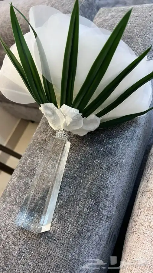 مسكه عروس نظيفه وجديده استخدام واحد 2